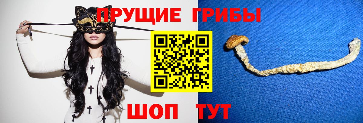 сколько стоит  Вход с VPN  Семилуки  Галлюциногенные грибы Psilocybine cubensis  Галлюциногенные грибы мухоморы 